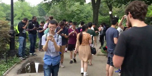 Masificación de jugadores en Central Park. ¿Realmente están viviendo el espacio? ¿Qué clase de interacciones se establecen entre ellos?